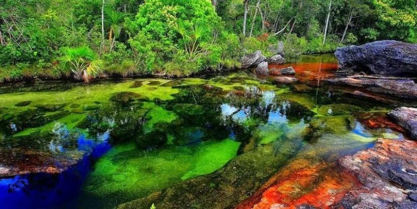 Canio Cristales-el río más hermoso de la Tierra