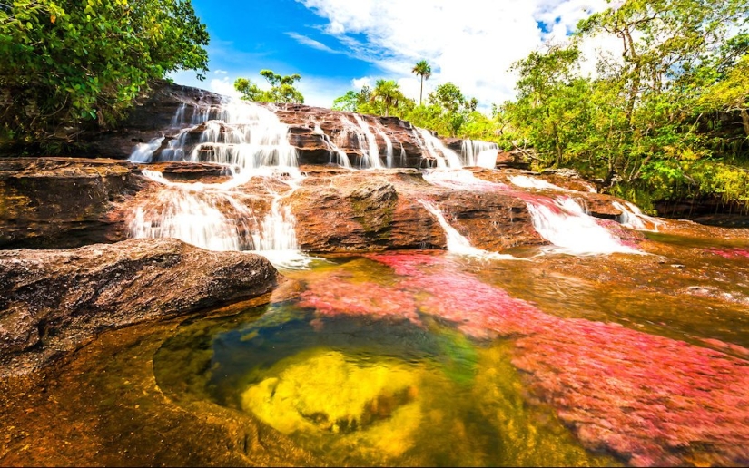 Canio Cristales-el río más hermoso de la Tierra