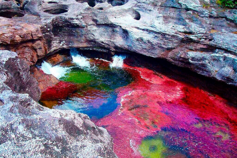 Canio Cristales-el río más hermoso de la Tierra