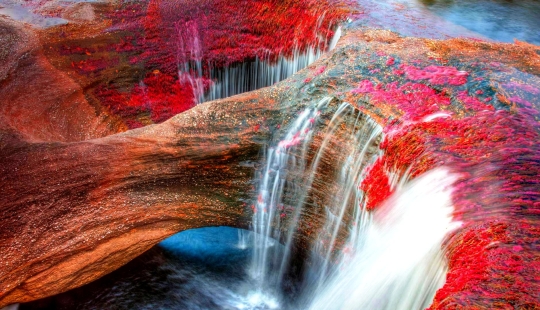 Canio Cristales — the most beautiful river on Earth