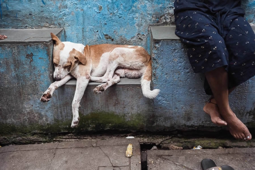 Capturando historias humanas: una década de aventuras en fotografía callejera y de viajes por Gil Kreslavsky