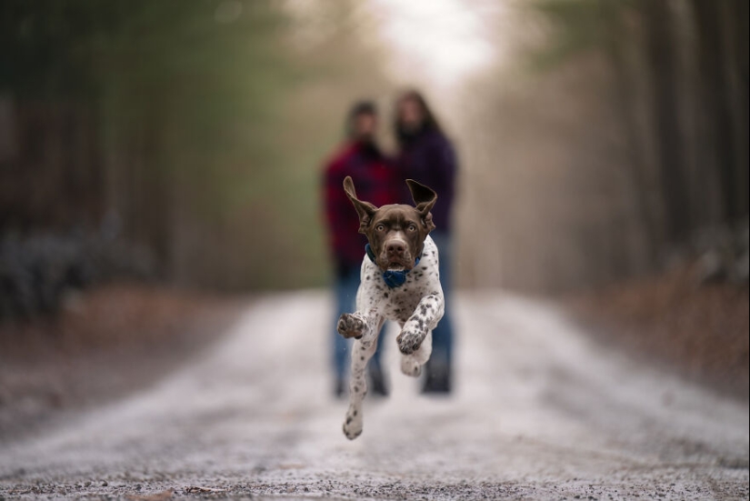 Capturé perros huyendo y los resultados son las caras de alegría más adorables