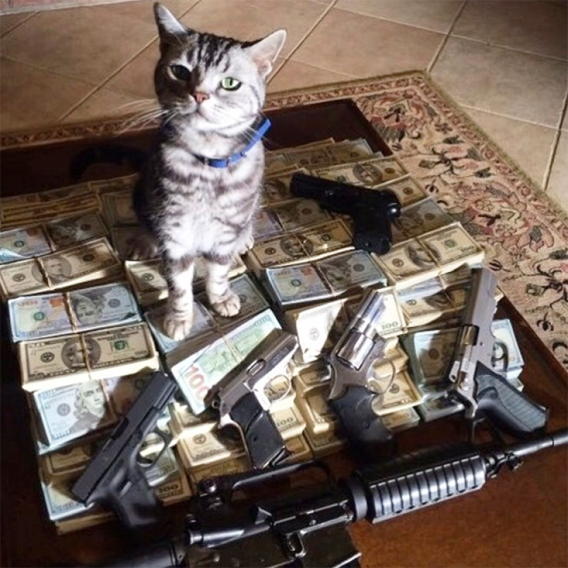 Cards, money, two barrel: 20 gangsteritto photos from instagram