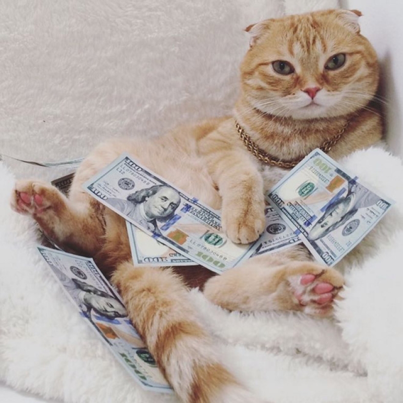 Cards, money, two barrel: 20 gangsteritto photos from instagram