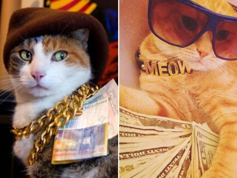 Cards, money, two barrel: 20 gangsteritto photos from instagram