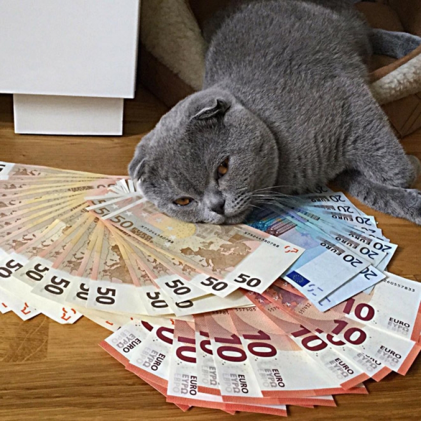 Cards, money, two barrel: 20 gangsteritto photos from instagram