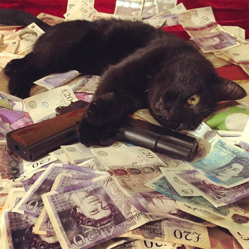 Cards, money, two barrel: 20 gangsteritto photos from instagram