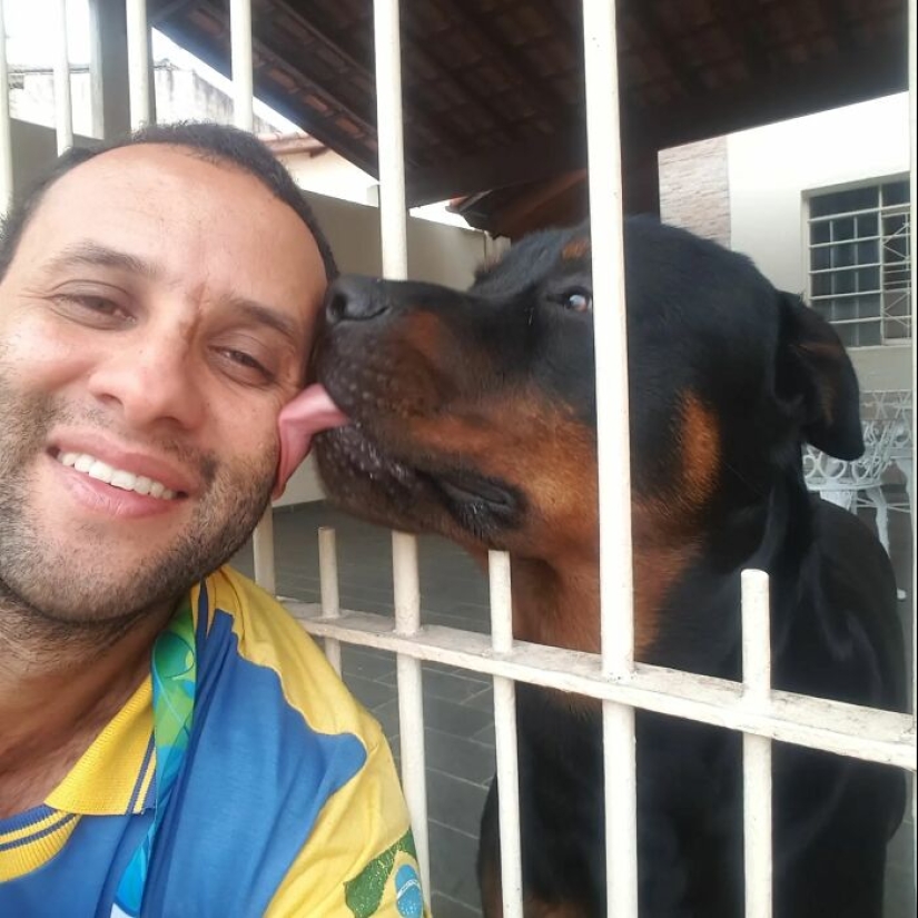 Cartero respetuoso con los animales: 15 selfies que este hombre se tomó con cada animal en su ruta de correo