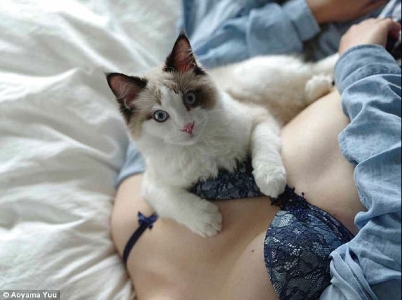 Cats and Breasts: A Soothing Album by a Japanese Photographer