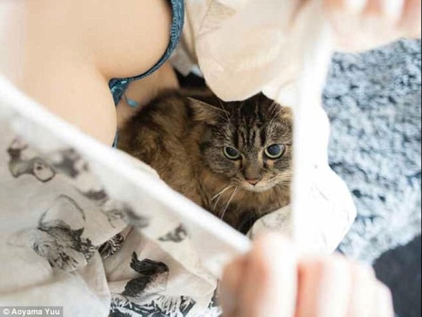 Cats and Breasts: A Soothing Album by a Japanese Photographer