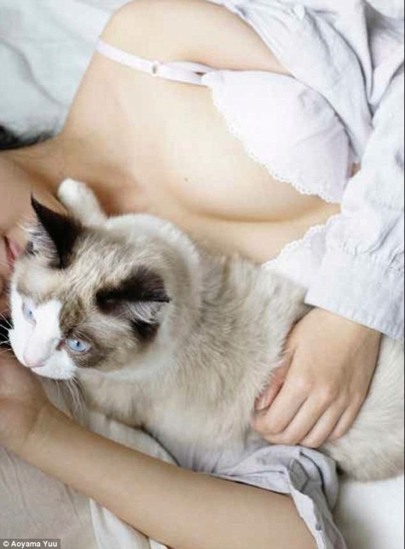 Cats and Breasts: A Soothing Album by a Japanese Photographer