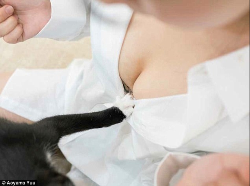 Cats and Breasts: A Soothing Album by a Japanese Photographer