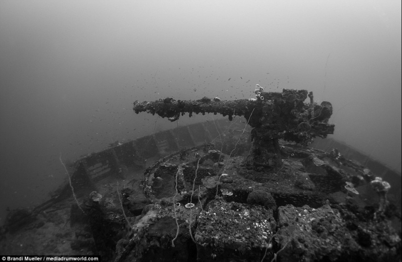 Cementerio submarino de Japón: imágenes de equipos sumergidos de la Segunda Guerra Mundial