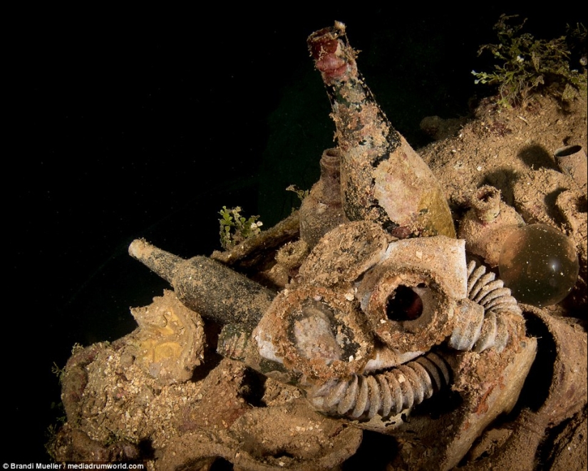 Cementerio submarino de Japón: imágenes de equipos sumergidos de la Segunda Guerra Mundial