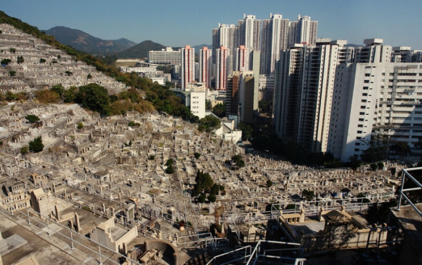 Cementerio vertical en Hong Kong: cuando la superpoblación afecta no solo a los vivos