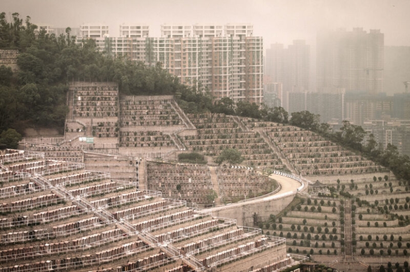 Cementerio vertical en Hong Kong: cuando la superpoblación afecta no solo a los vivos