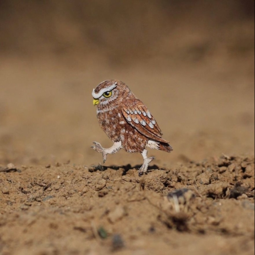 Challenge 1000 days - tiny paper animals from artists from India