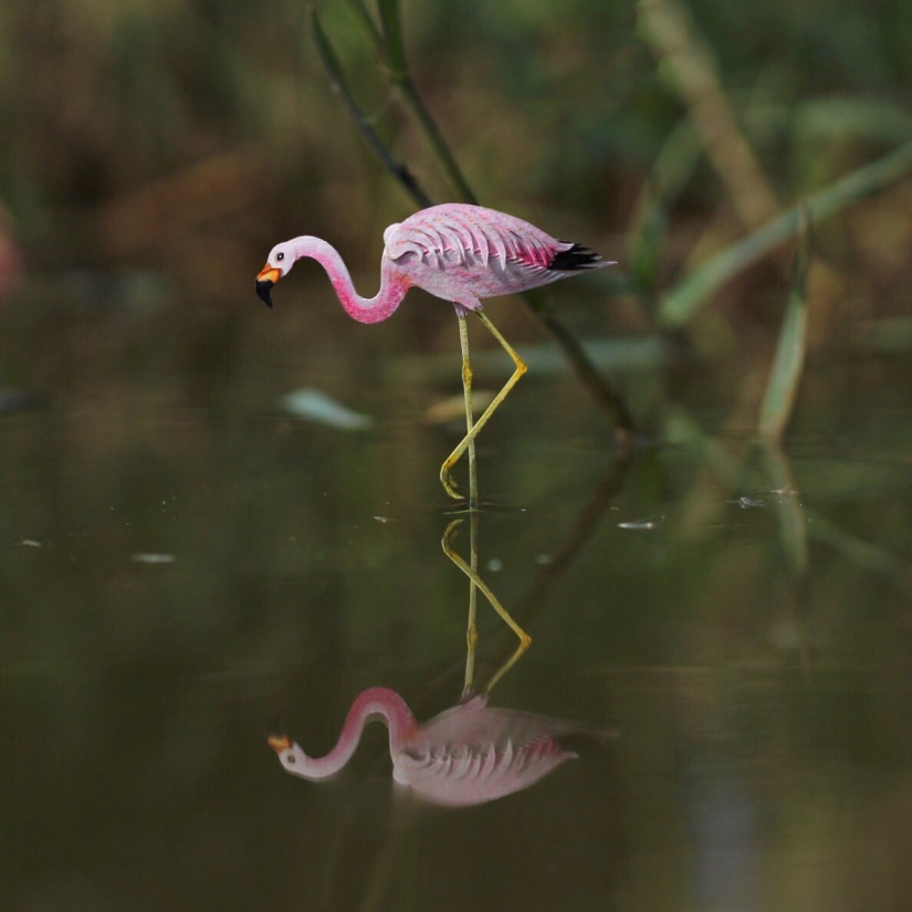 Challenge 1000 days - tiny paper animals from artists from India