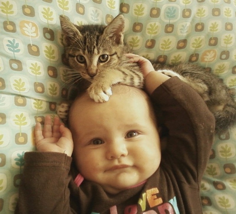 Charming photos proving that your child needs a cat