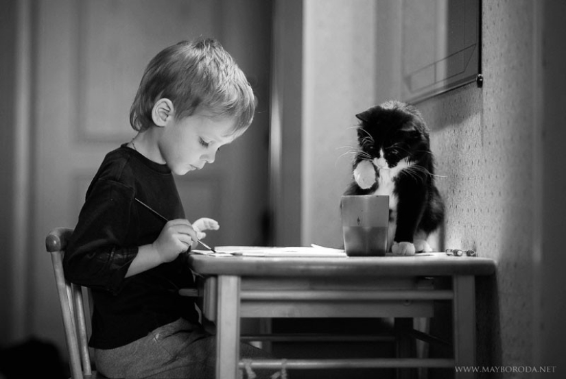 Charming photos proving that your child needs a cat