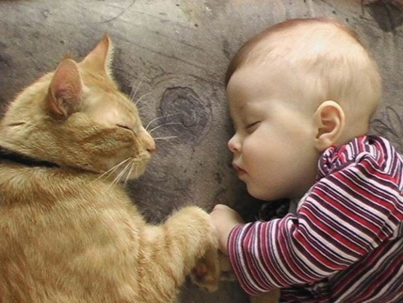 Charming photos proving that your child needs a cat