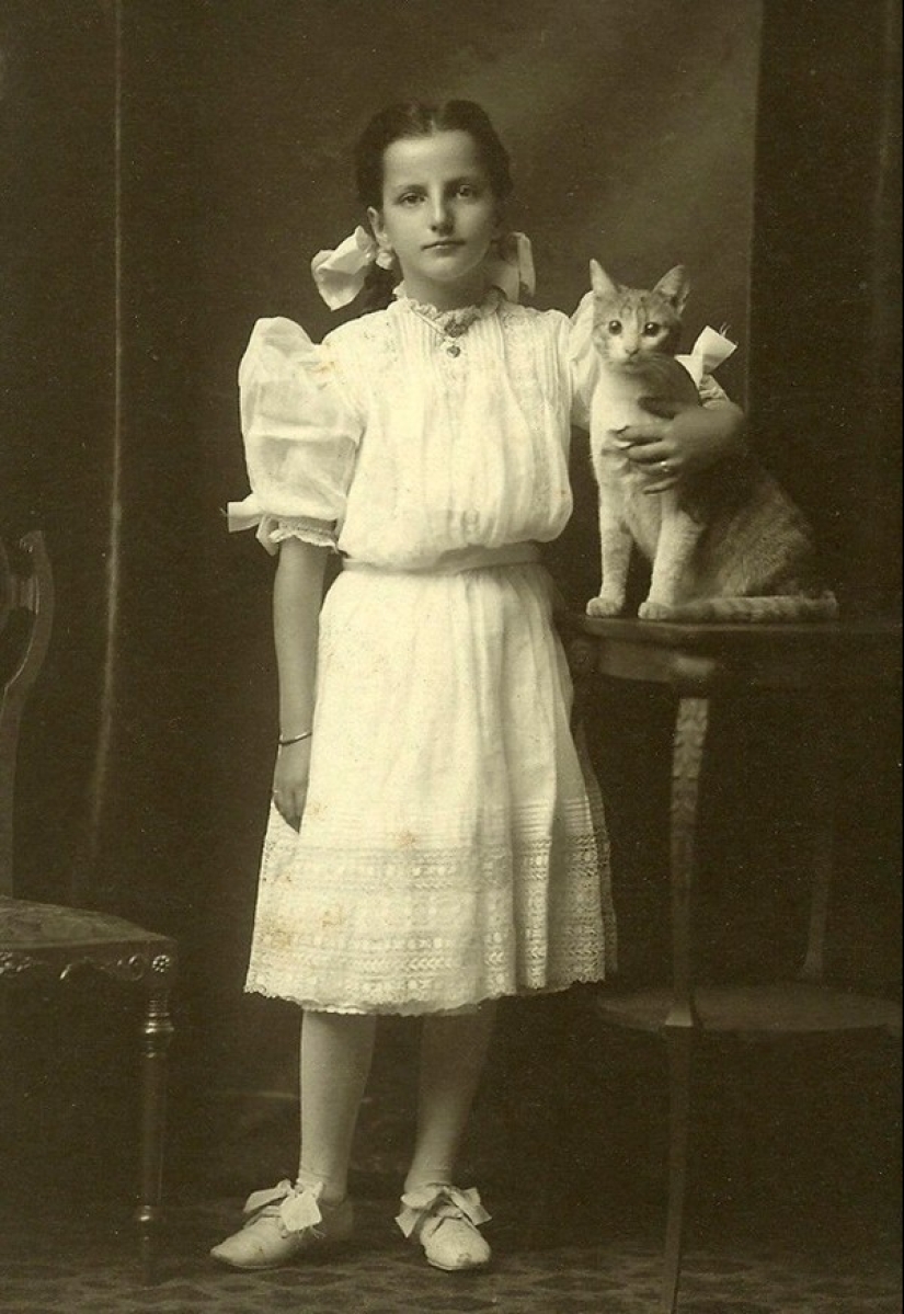 Charming vintage cats that will prove that cats have ruled the world at all times