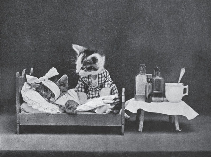 Charming vintage cats that will prove that cats have ruled the world at all times