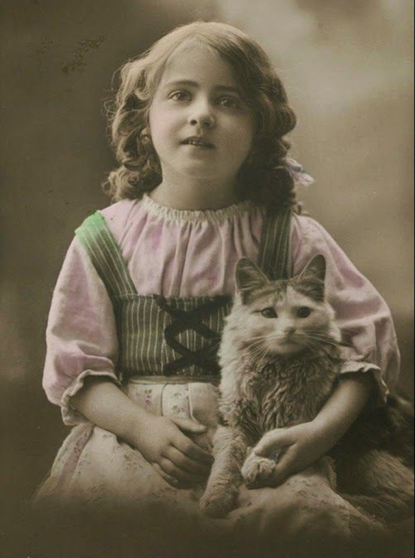 Charming vintage cats that will prove that cats have ruled the world at all times