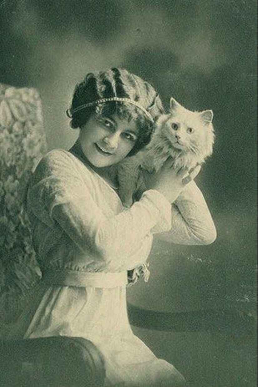 Charming vintage cats that will prove that cats have ruled the world at all times