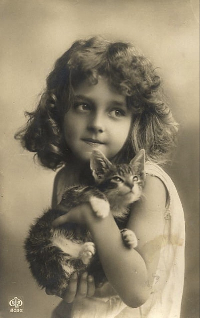 Charming vintage cats that will prove that cats have ruled the world at all times