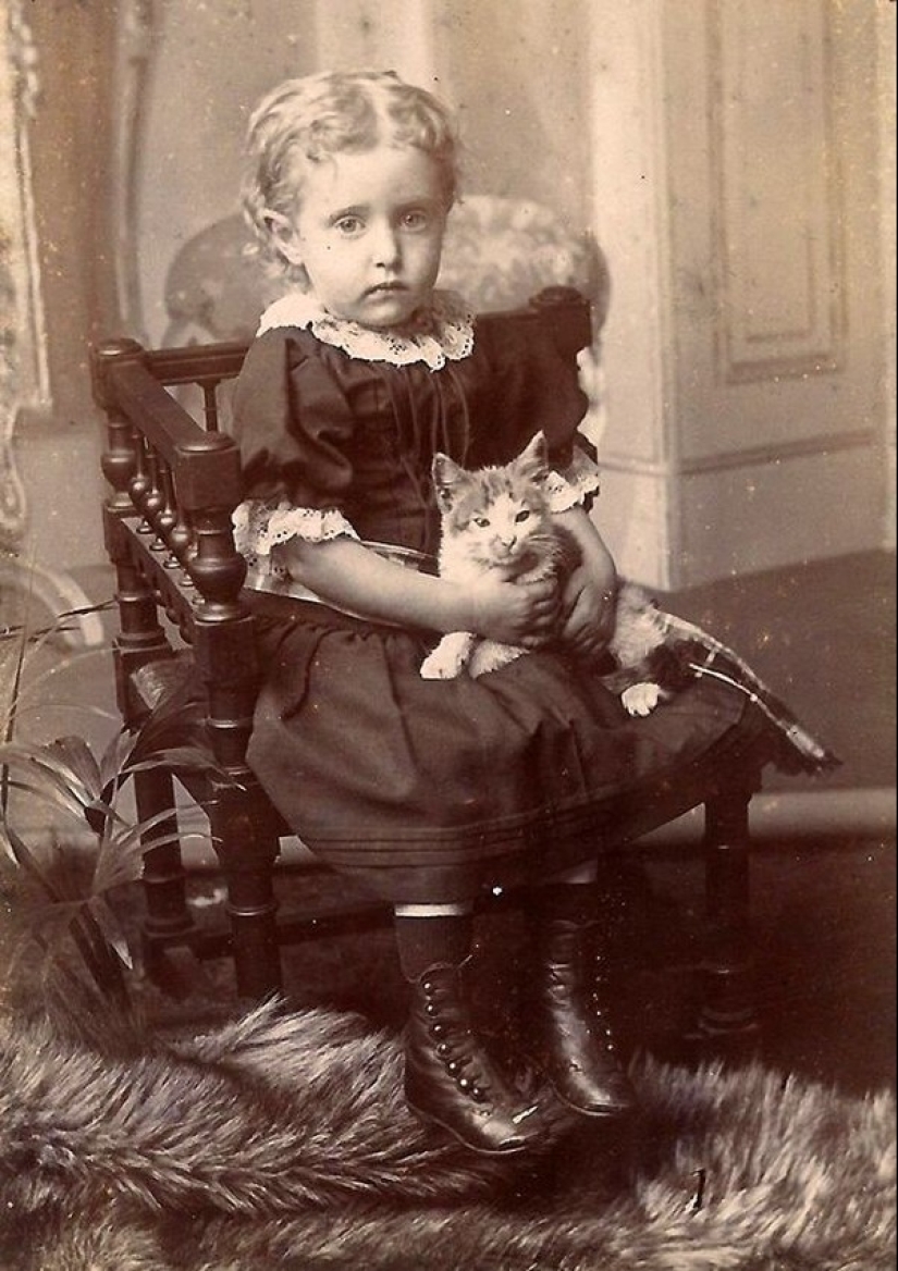 Charming vintage cats that will prove that cats have ruled the world at all times