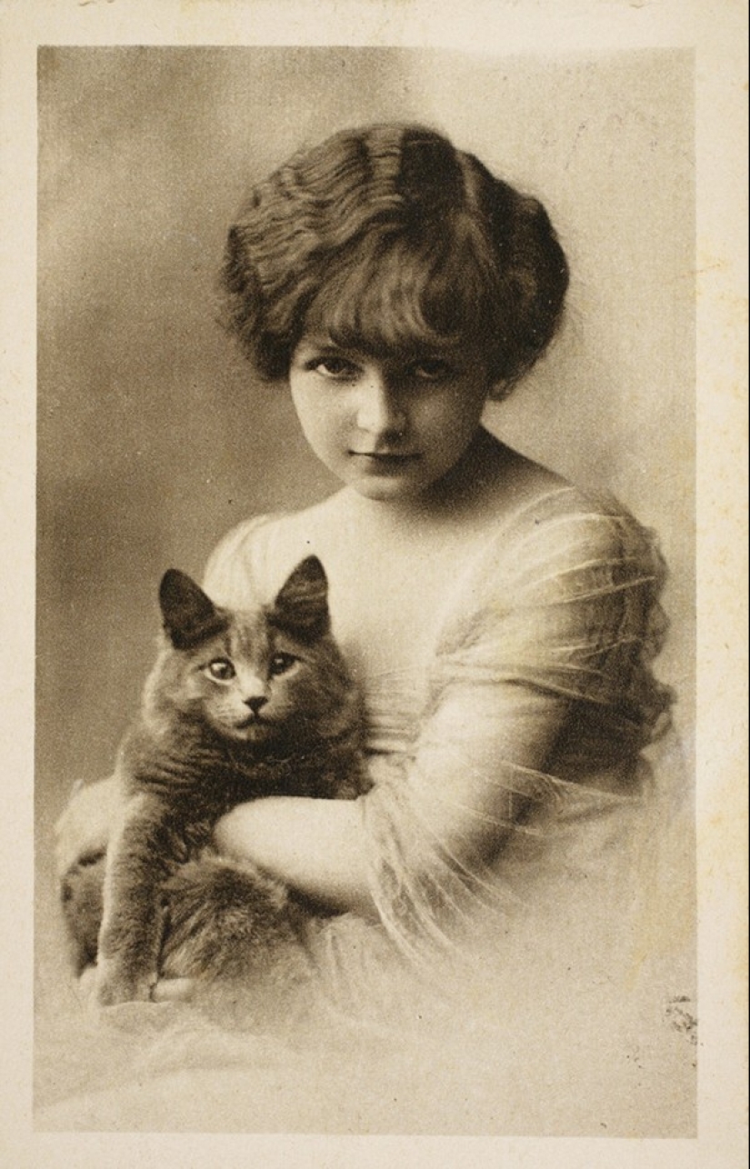 Charming vintage cats that will prove that cats have ruled the world at all times