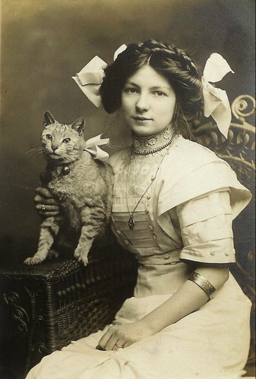 Charming vintage cats that will prove that cats have ruled the world at all times