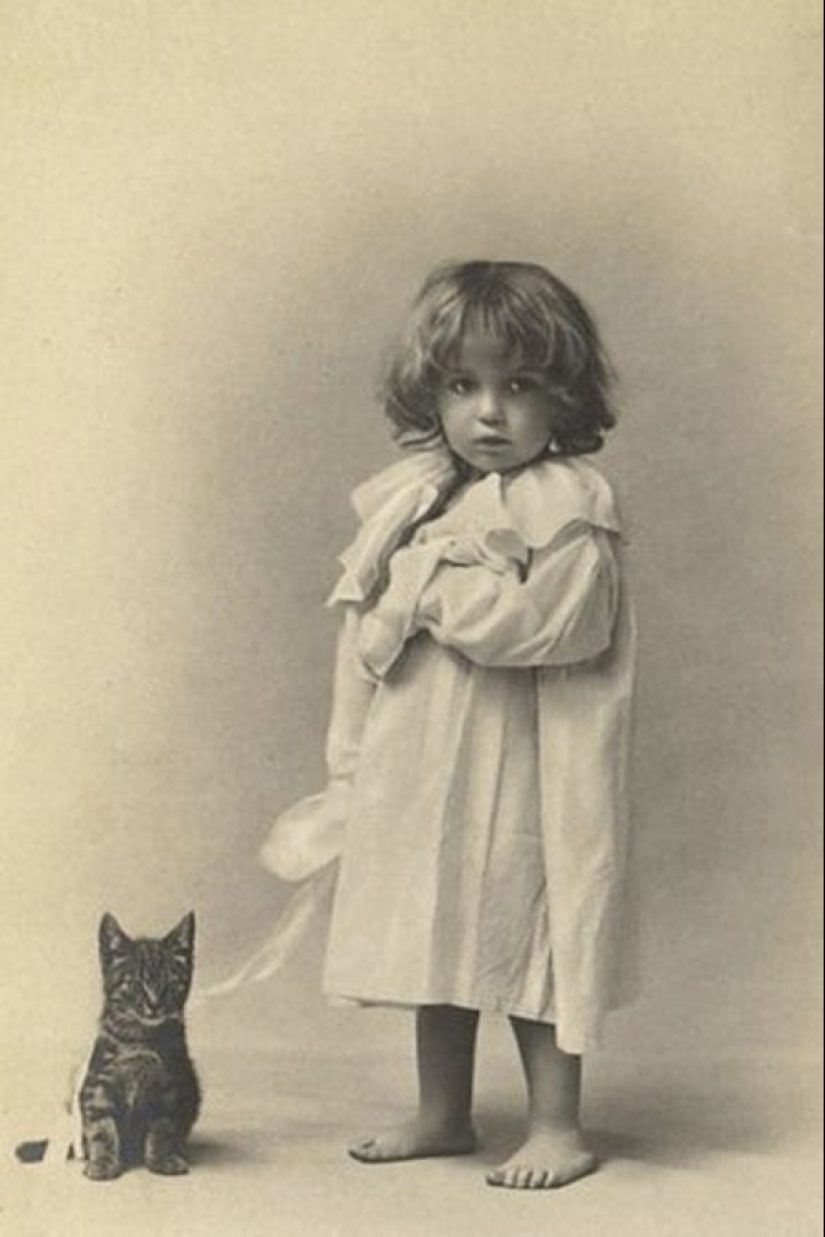 Charming vintage cats that will prove that cats have ruled the world at all times