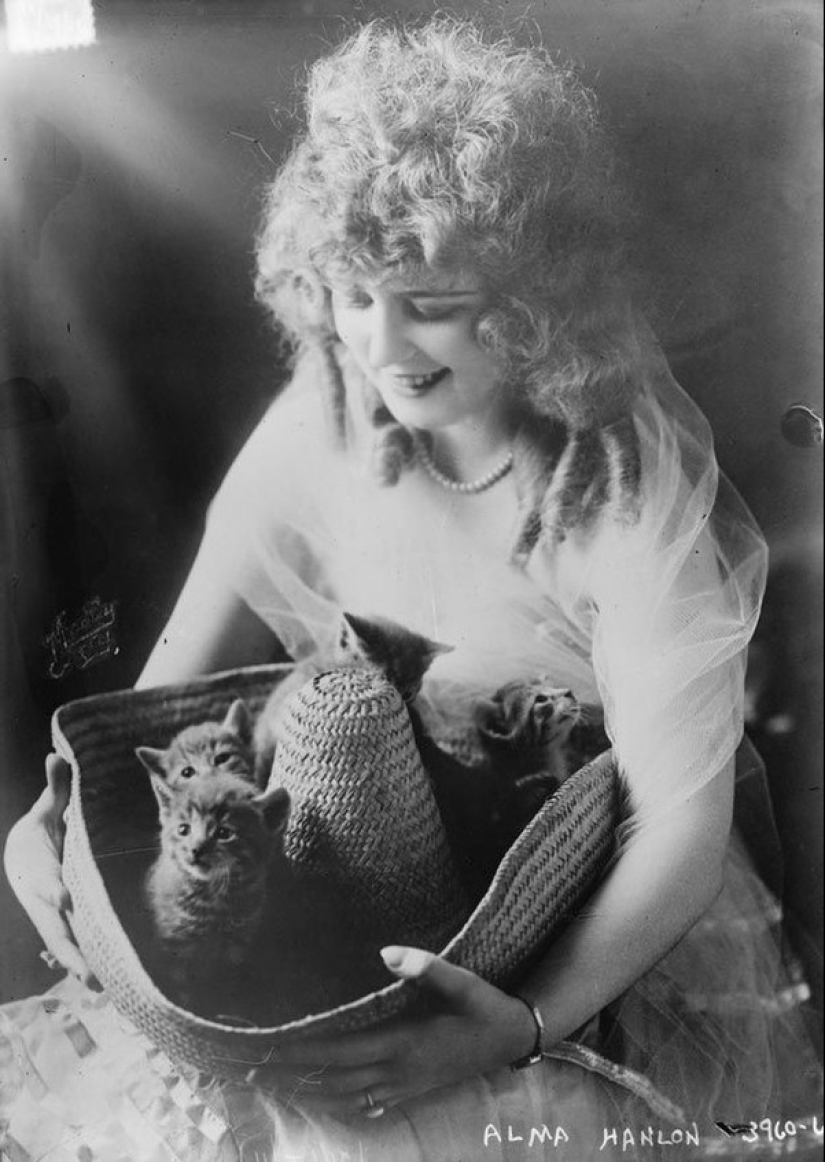 Charming vintage cats that will prove that cats have ruled the world at all times