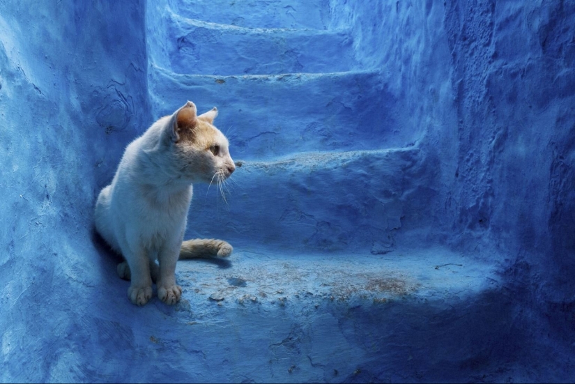 Chefchaouen, city of heavenly colours: the Blue pearl of Morocco