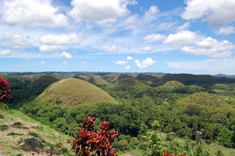 Chocolate Hills of Bohol Island