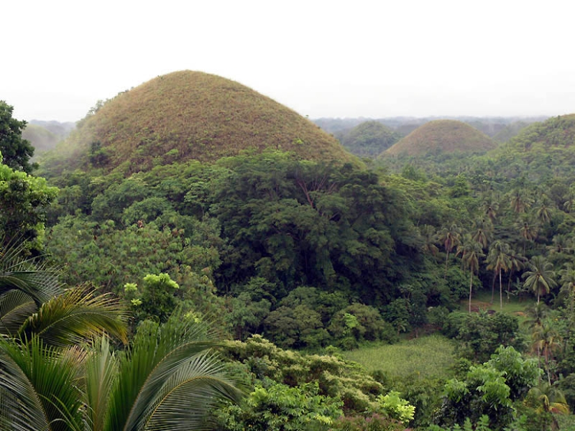 Chocolate Hills of Bohol Island