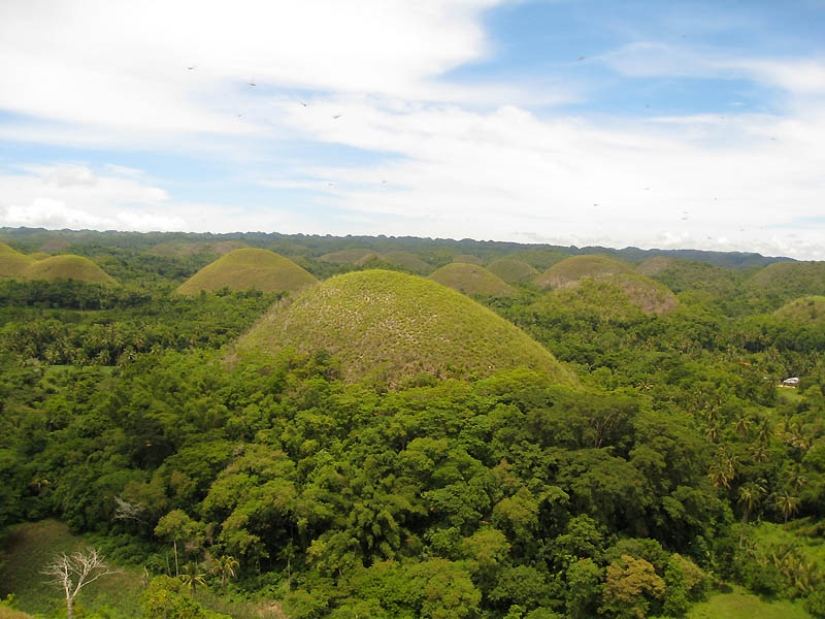 Chocolate Hills of Bohol Island