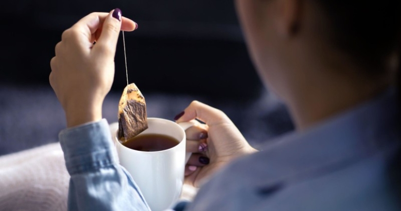 Científicos encontraron ADN de cientos de especies de insectos en una bolsita de té