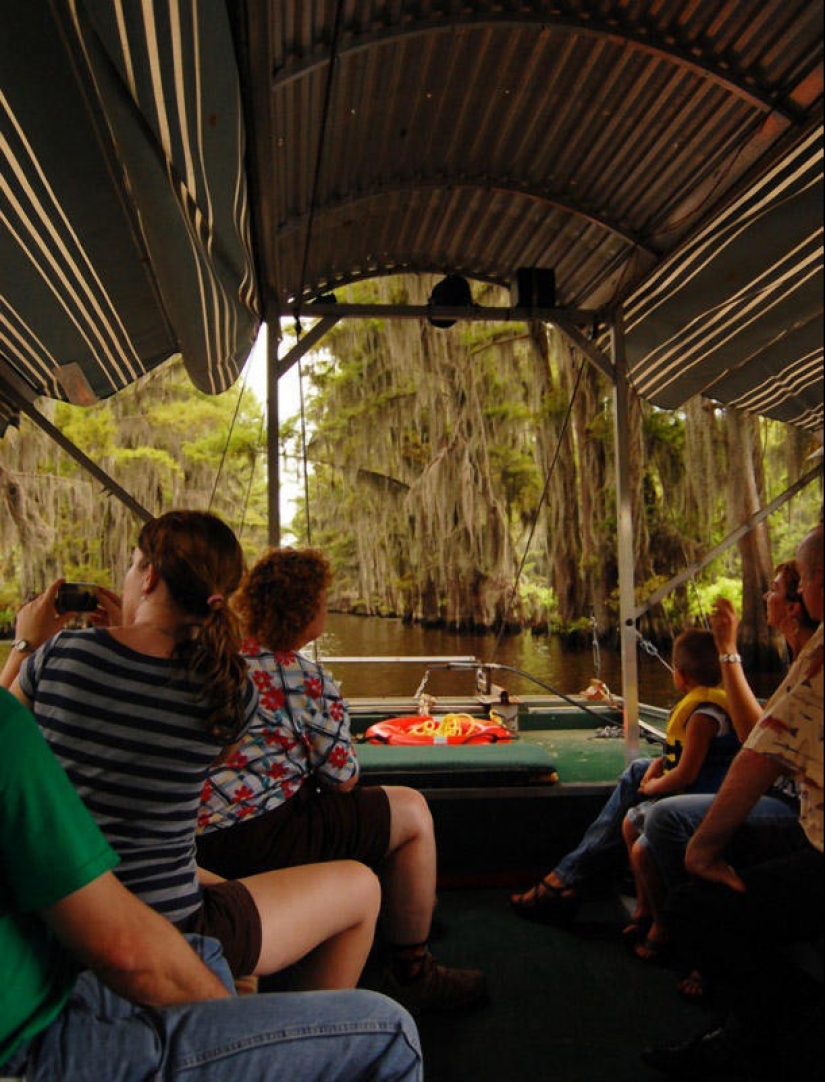 Cipreses increíbles del Lago Caddo