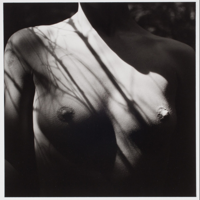 Classic Nude from the photographer Rutger ten Broek