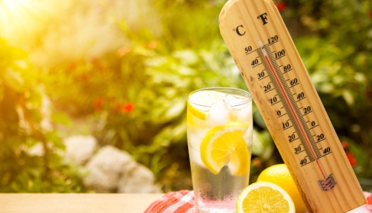 Cómo comer en el calor: 5 reglas importantes para todos