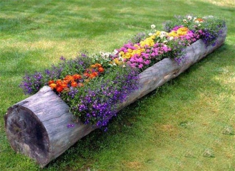 Cómo crear un macizo de flores hermoso e inusual a partir de materiales improvisados: 20 ejemplos