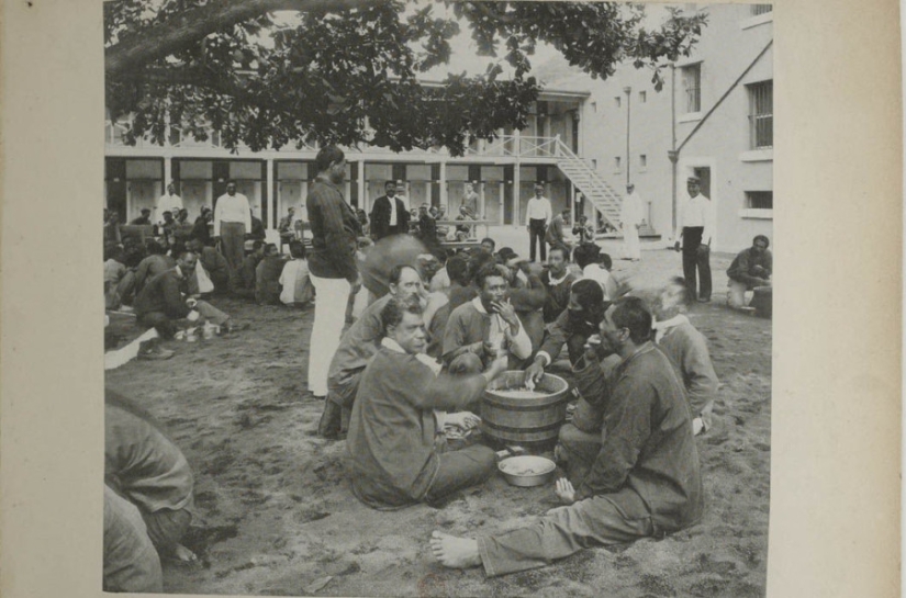 Cómo era la gente de Hawai en el siglo XIX