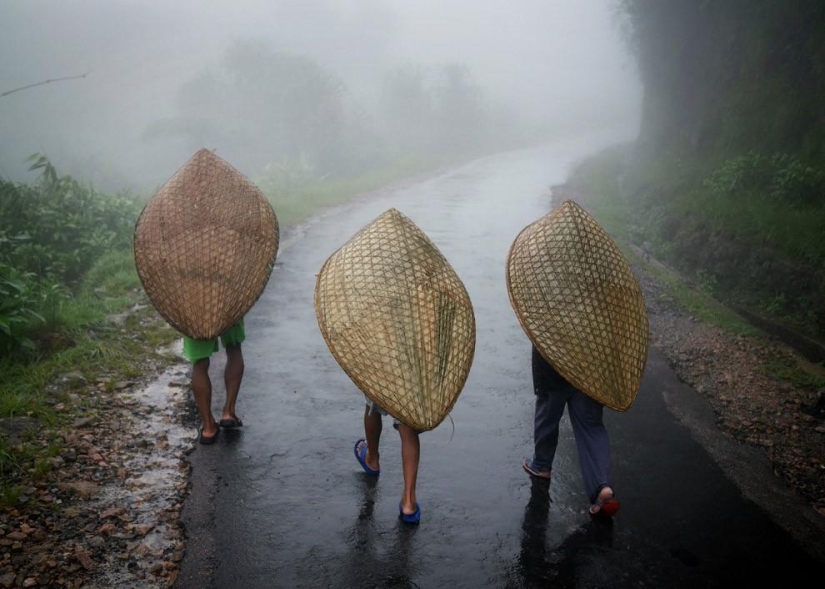 Cómo es el lugar más húmedo de la Tierra, una ciudad en el estado indio de Meghalaya