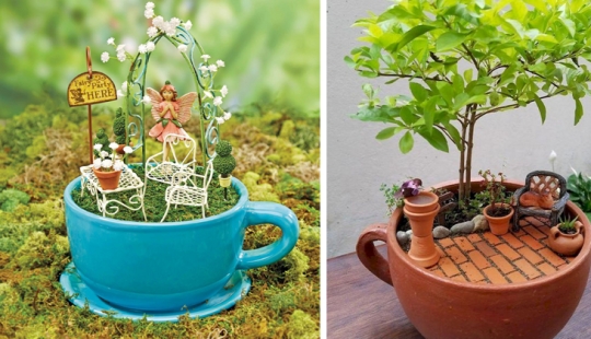 Cómo hacer un jardín en una taza de té: 25 ideas creativas