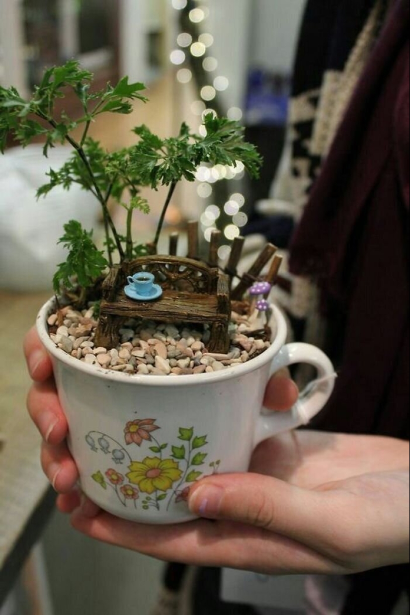 Cómo hacer un jardín en una taza de té: 25 ideas creativas