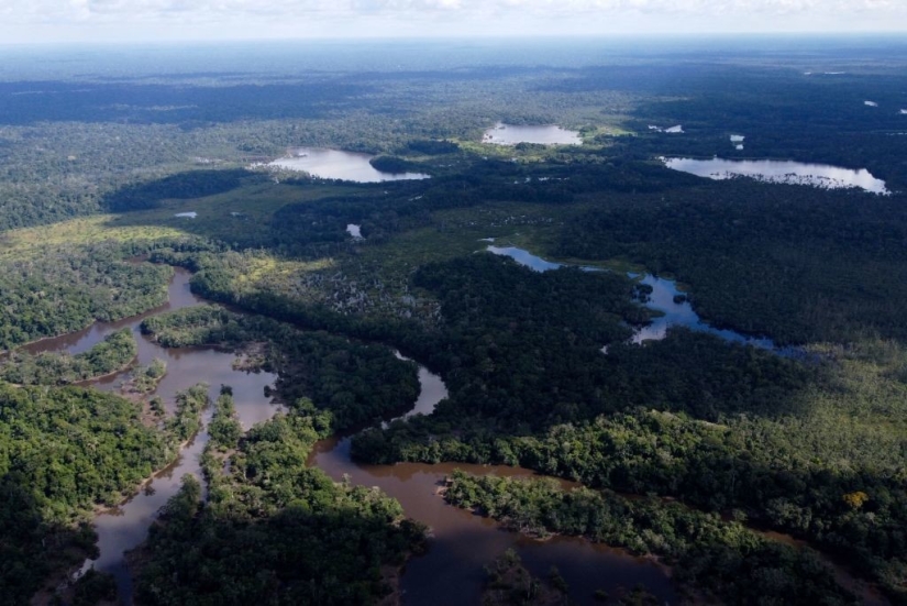 Cómo Juliana Koepke sobrevivió sola en la jungla después de un accidente aéreo