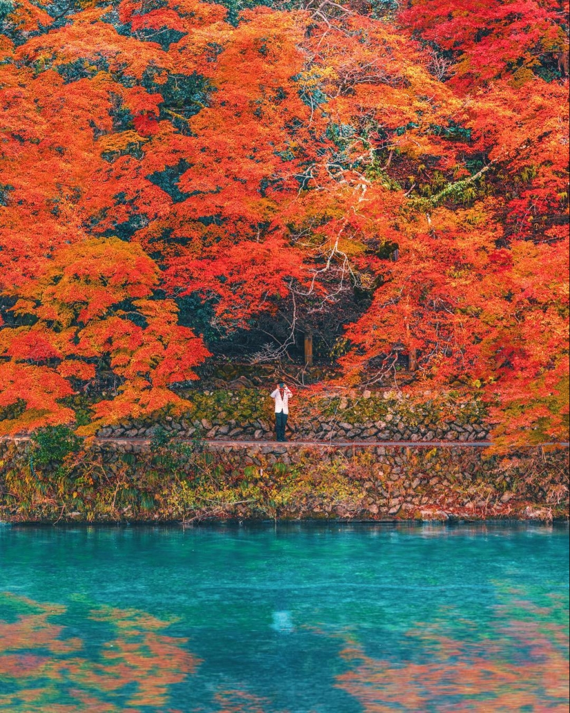 Cómo late el corazón del Gran Tokio: El brillante Japón en fotos de Naohiro Yako